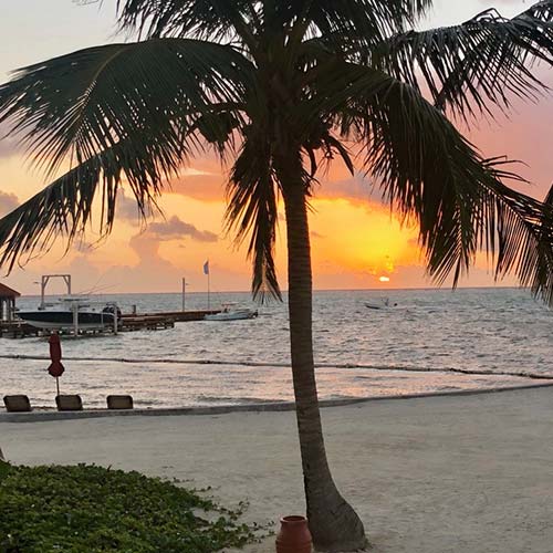 nav_cta_special_offers