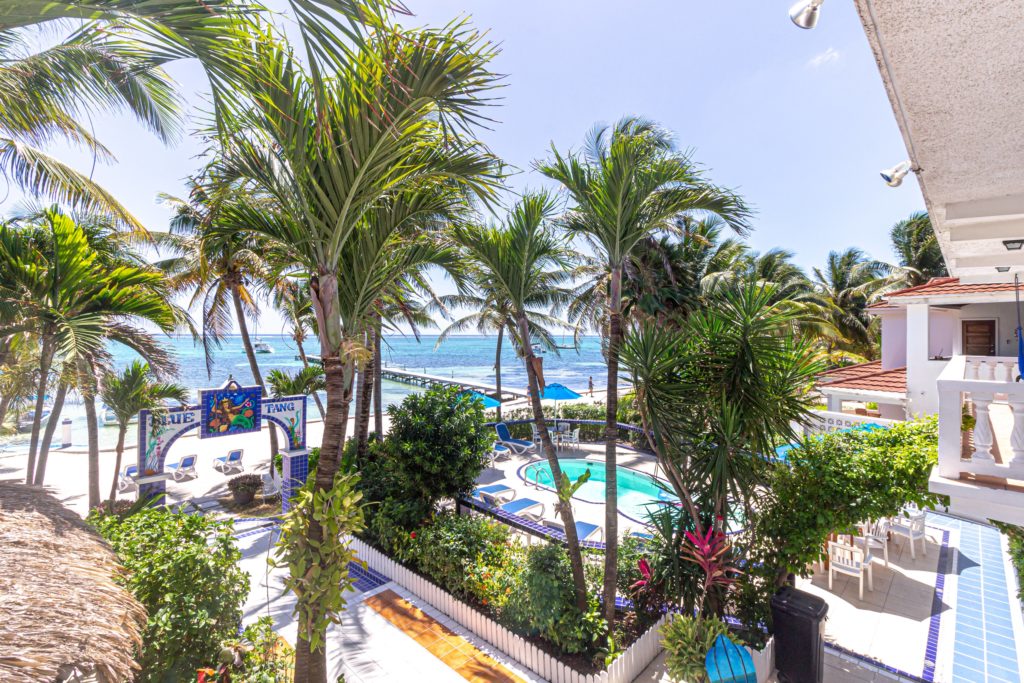Your Guide to Diving the Belize Barrier Reef 2 The view from the Blue Tang Inn, the best place to stay in Belize when considering a diving trip to the Belize barrier reef