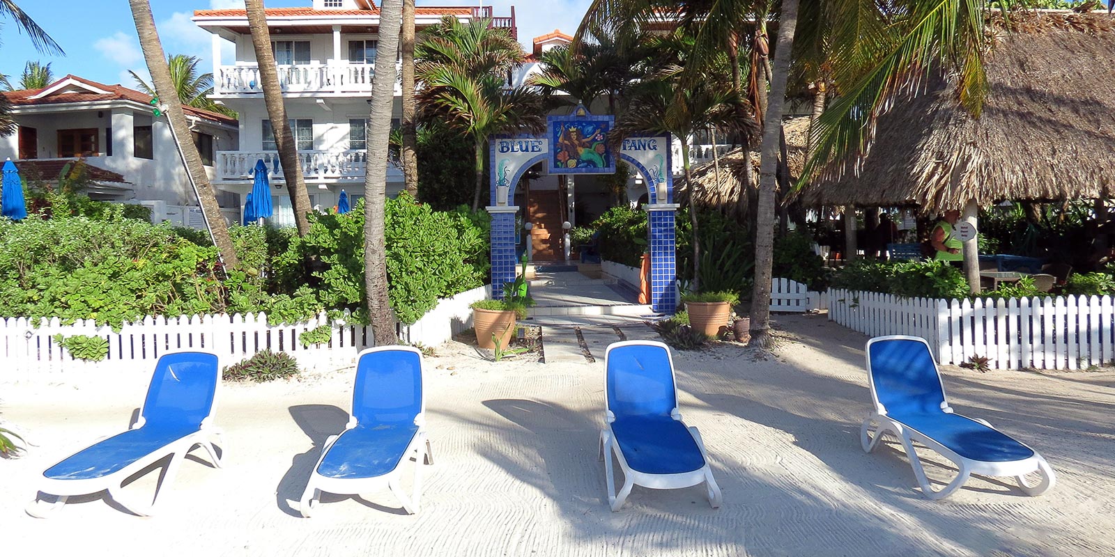 Don't Miss a Trip to Shark Ray Alley in Belize 2 After a snorkeling adventure in Shark Ray Alley in Belize, relax on the beach in front of our waterfront hotel in San Pedro, Belize