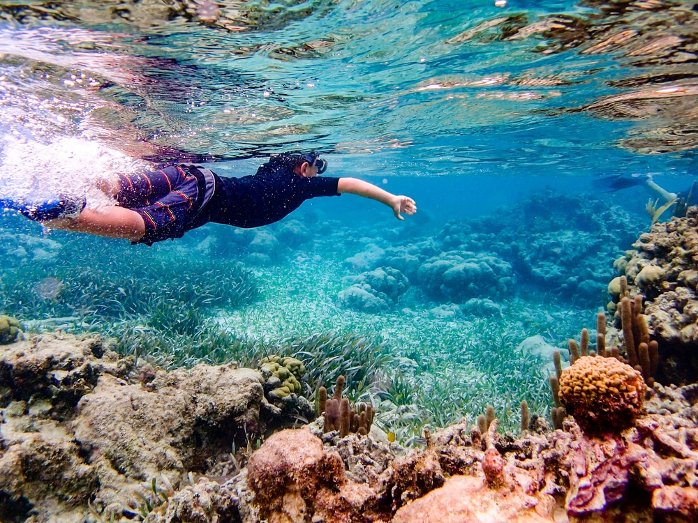 Enjoy the Best of Ambergris Caye This Winter! 1 Exploring underwater worlds is one of the best things to do in Ambergris Caye